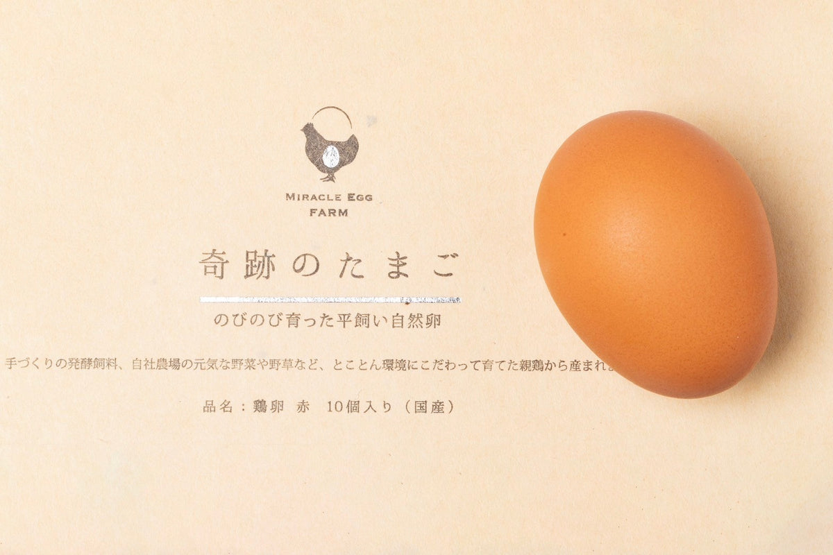奇跡の卵 ‐きせきのたまご‐ – Miracle Egg