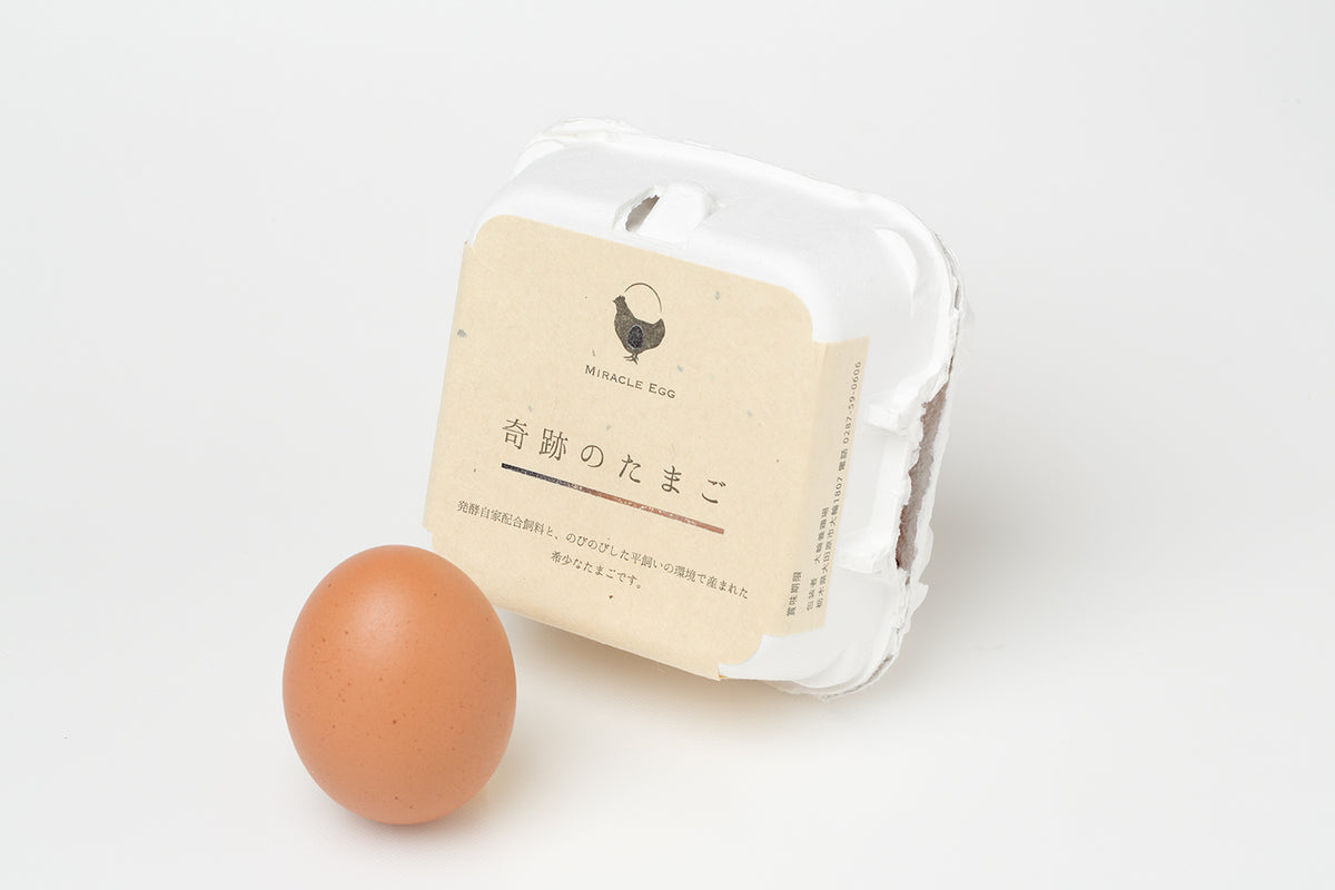 巨きな卵 奇跡の卵 ‐きせきのたまご‐ – Miracle Egg